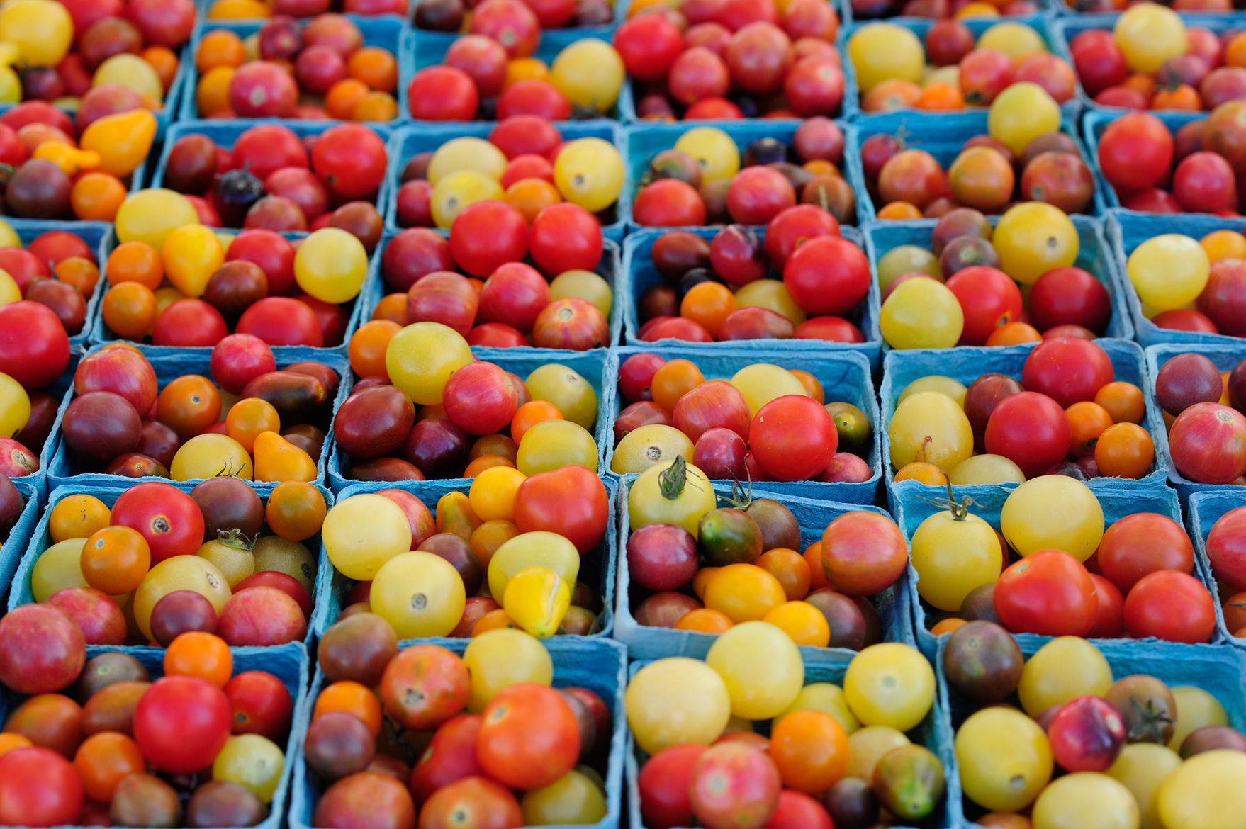 fresh fruit image